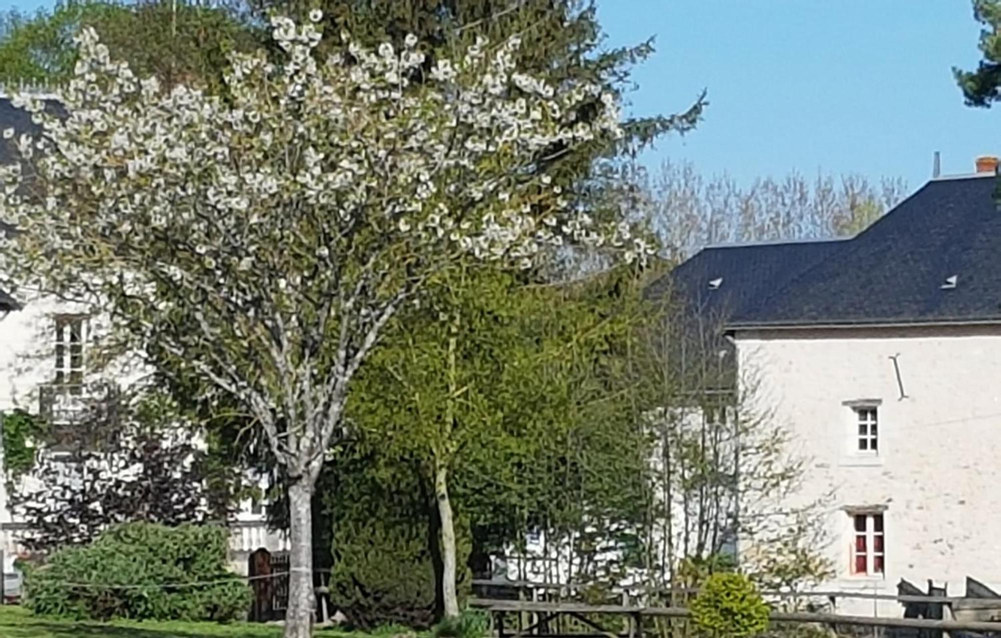 Domaine Du Moulin Neuf Aux Portes De Beauval Nouans-les-Fontaines Ngoại thất bức ảnh
