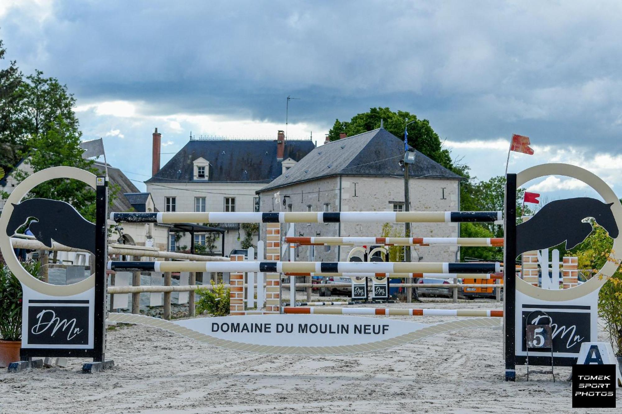 Domaine Du Moulin Neuf Aux Portes De Beauval Nouans-les-Fontaines Ngoại thất bức ảnh
